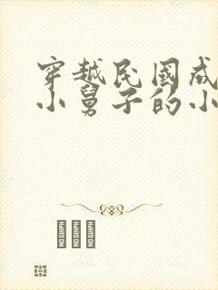 穿越民国成老蒋小舅子的小说