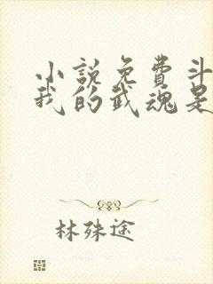 小说免费斗罗之我的武魂是模拟器