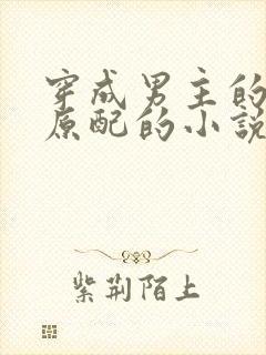 穿成男主的短命原配的小说