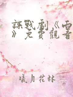 谍战剧《雨花台》免费观看全集