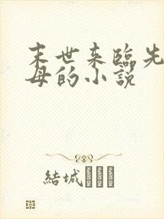 末世来临先杀圣母的小说