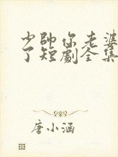 少帅你老婆又跑了短剧全集免费看