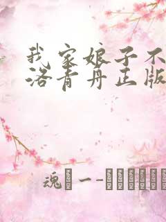 我家娘子不对劲洛青舟正版免费阅读