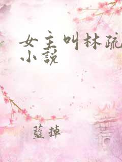 女主叫林疏月的小说