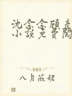 沈念念顾彦知的小说免费阅读无弹窗