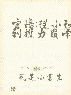 官场:从小秘书到权力巅峰小说阅读