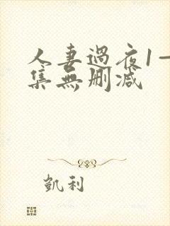 人妻过夜1—2集无删减