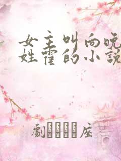 女主叫向晚男主姓霍的小说