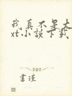我真不是大佬txt小说下载