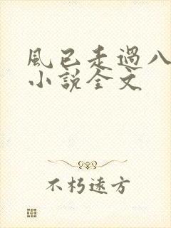 风已走过八千里小说全文
