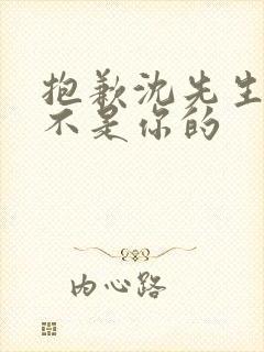 抱歉沈先生孩子不是你的