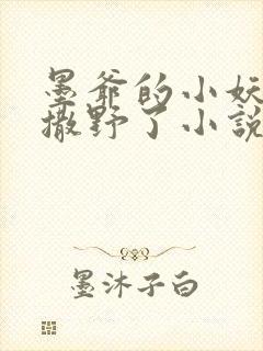 墨爷的小妖精又撒野了小说免费阅读