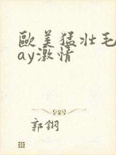 欧美猛壮毛男gay激情