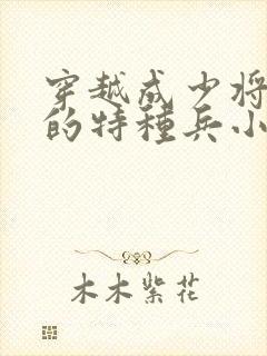 穿越成少将军衔的特种兵小说