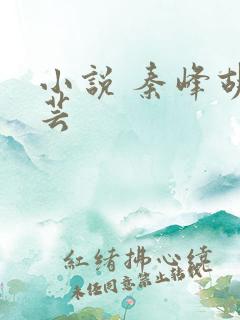 小说 秦峰胡佳芸