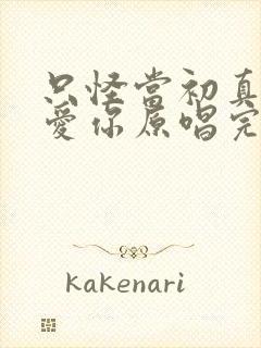 只怪当初真的太爱你原唱完整版