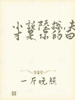 小说陆总,夫人才是你的白月光小说