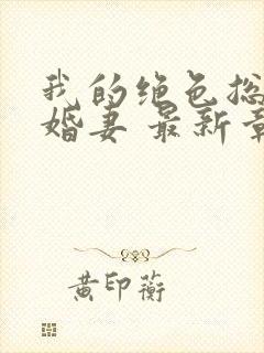 我的绝色总裁未婚妻 最新章节