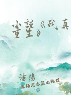 小说《我真没想重生》