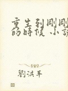 重生到刚刚结婚的时候 小说