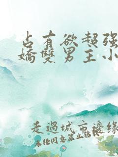 占有欲超强的病娇双男主小说