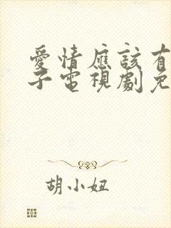 爱情应该有的样子电视剧免费看