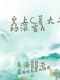 皇上C着太子妃的深处h