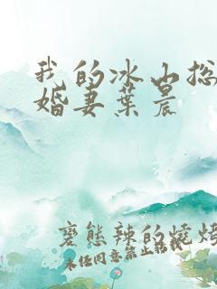 我的冰山总裁未婚妻叶晨