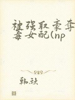 被强取豪夺的恶毒女配(np