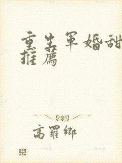 重生军婚甜宠文推荐