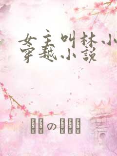 女主叫林小渔的穿越小说