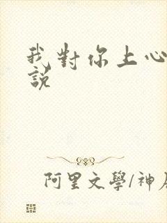 我对你上心了小说