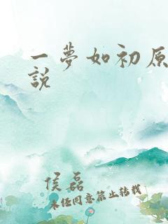 一梦如初原著小说