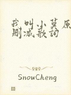 我叫小莫原版无删减歌词