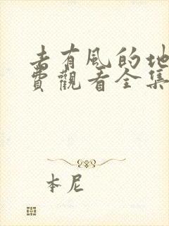 去有风的地方免费观看全集电视剧完整版