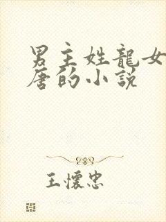 男主姓龙女主姓唐的小说