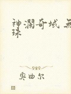神澜奇域 无双珠