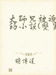 大师兄被迫承欢的小说(双男主)