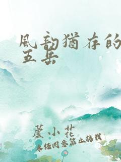 风韵犹存的四十五岳