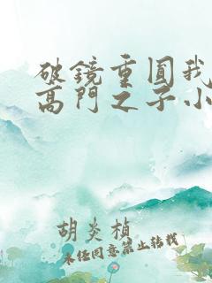 破镜重圆我爱上高门之子小说结局