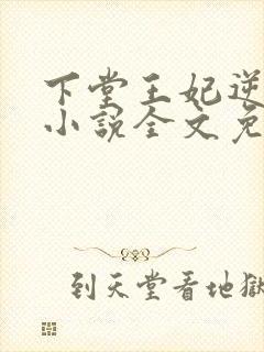 下堂王妃逆袭记小说全文免费阅读