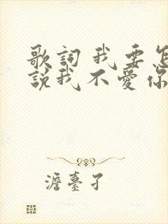 歌词 我要怎么说我不爱你