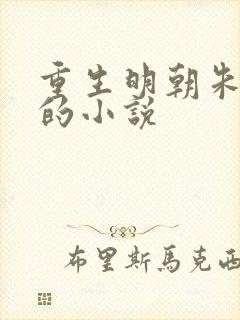 重生明朝朱由检的小说