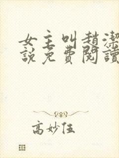 女主叫赵洁的小说免费阅读