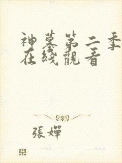 神墓第二季年番在线观看