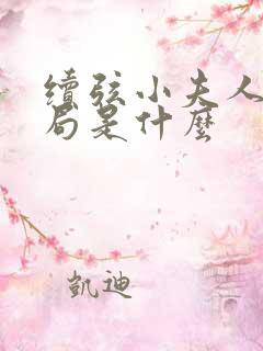 续弦小夫人大结局是什么