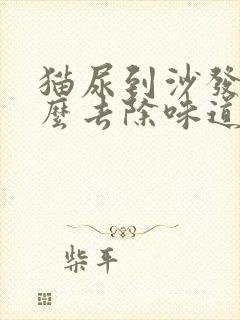 猫尿到沙发上怎么去除味道