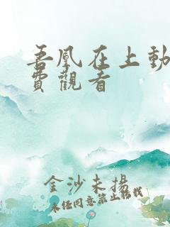 吾凰在上动漫免费观看