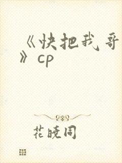 《快把我哥带走》cp