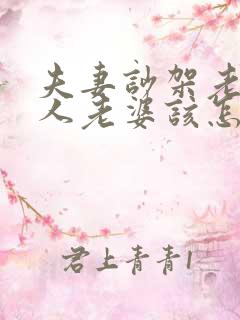 夫妻吵架老公打人老婆该怎么解决